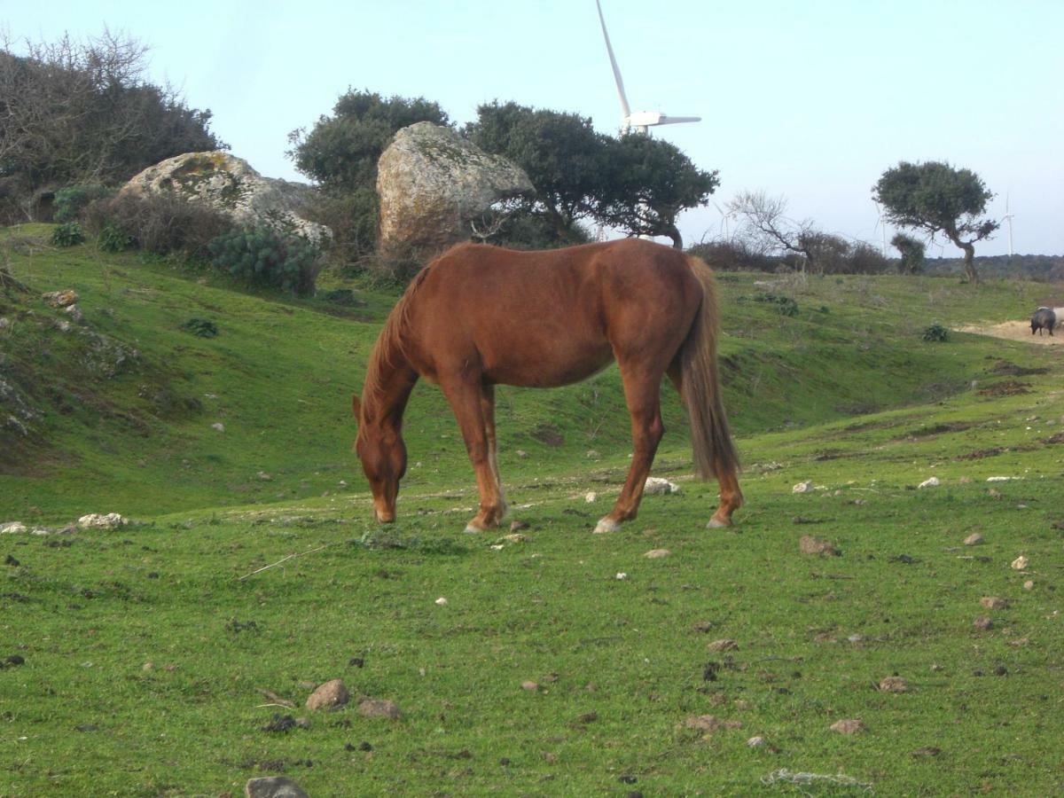 Casa Mariuccia Valledoria (Sardinia)